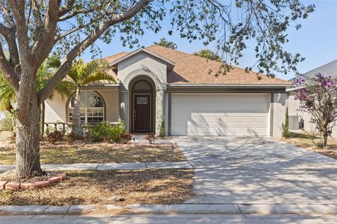 A home in RIVERVIEW