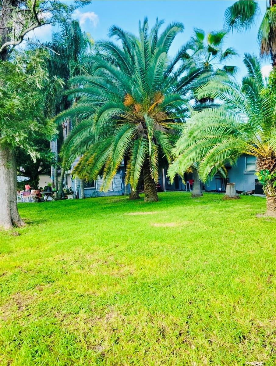 ST. PETE - Residential Income