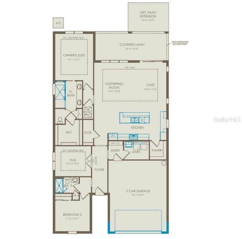 1313 ZESTY CITRUS LANE