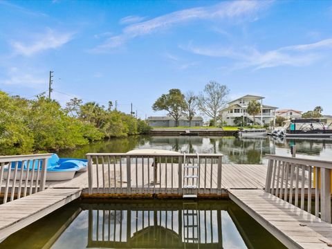 A home in HERNANDO BEACH