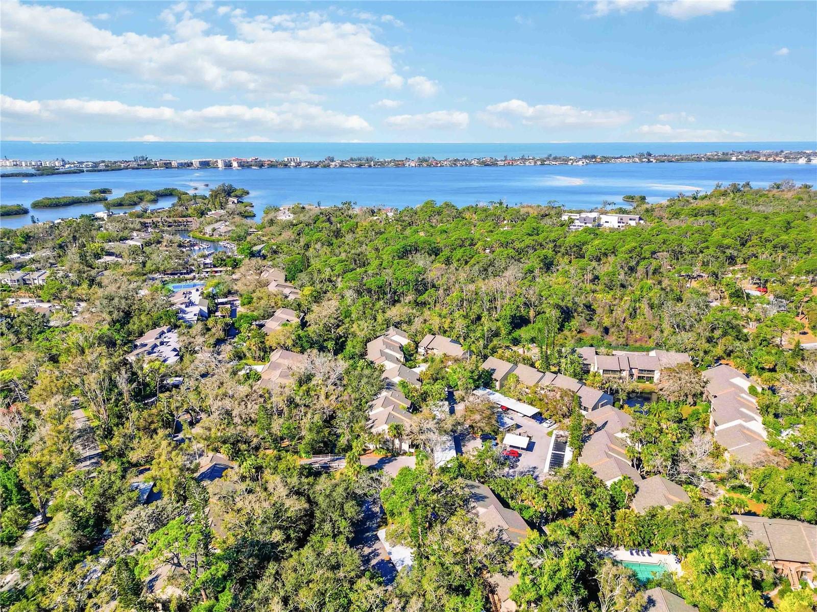 PELICAN COVE XVI - Residential