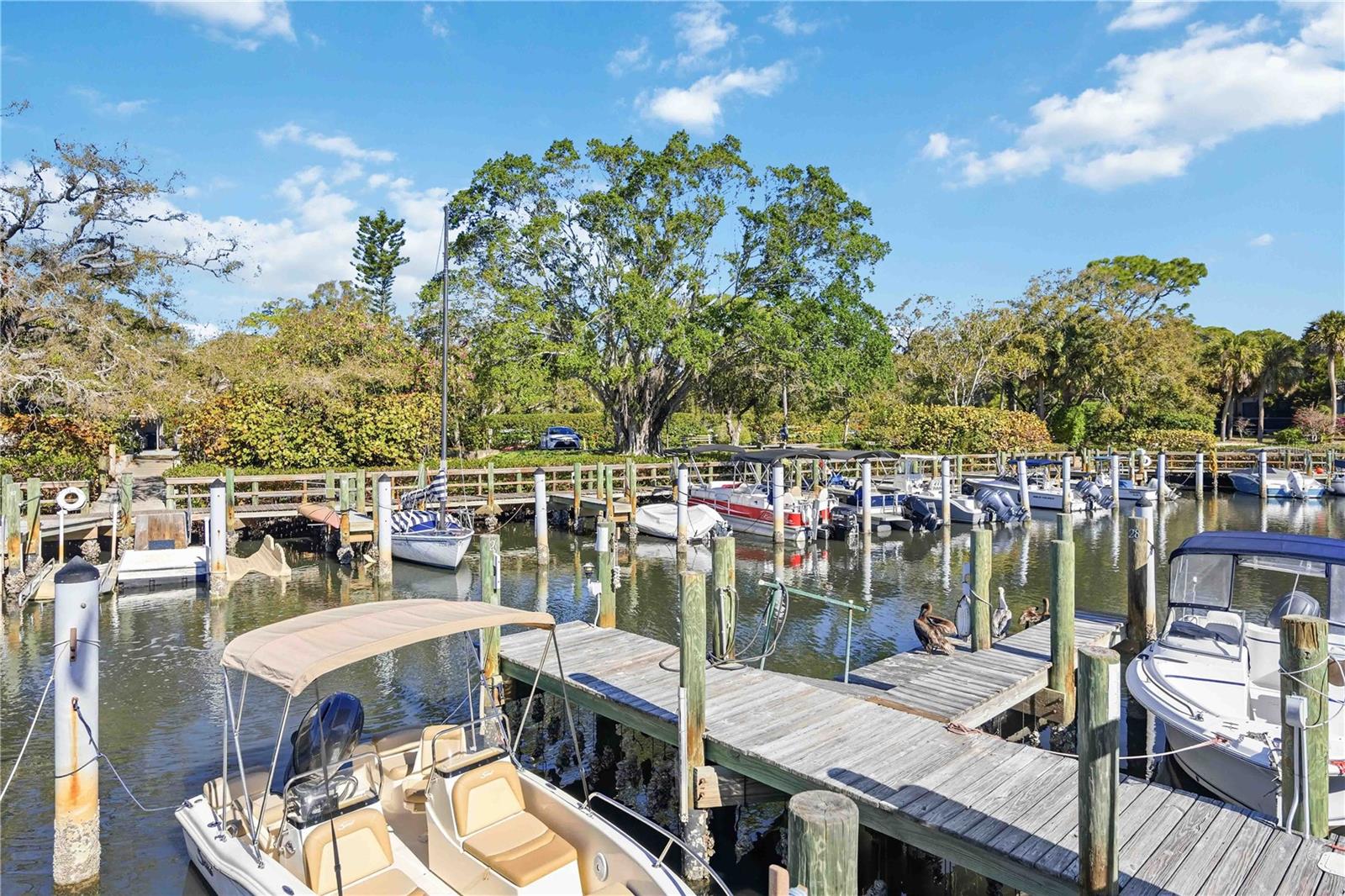 PELICAN COVE XVI - Residential