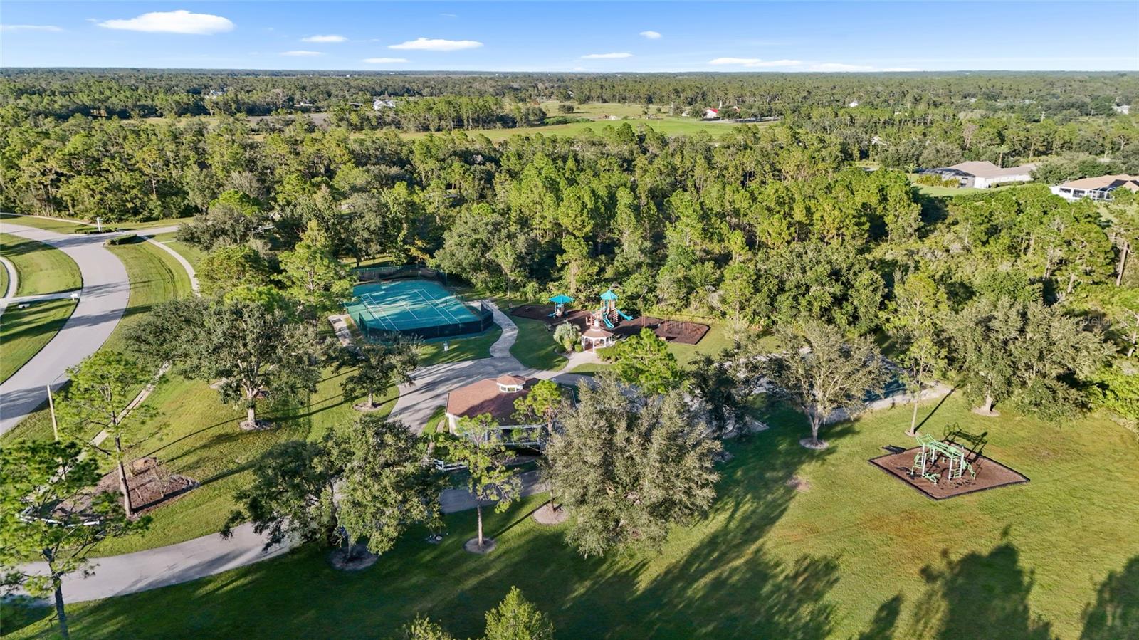 PRESERVE AT PANTHER RIDGE PH IV - Residential