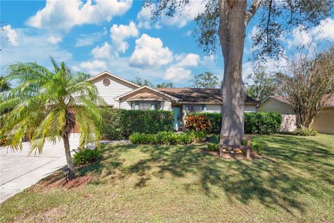 A home in ORLANDO