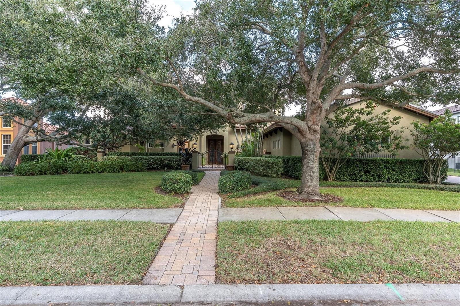 THURSTON GROVES - Residential