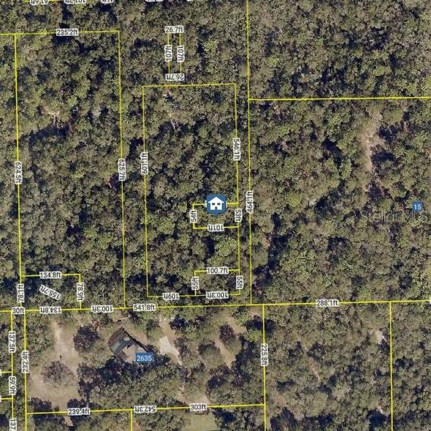 Secluded and unimproved .12-acre wooded lot in an undeveloped area.  Located just minutes to all shops, restaurants, major amenities and just minutes to downtown historic Deland.  Great for future investment and use.