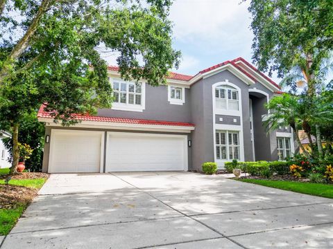 18142 REGENTS SQUARE DRIVE TAMPA FL 33647