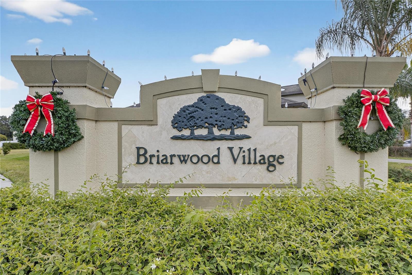 LIVE OAK PRESERVE 2C VILLAGES - Residential