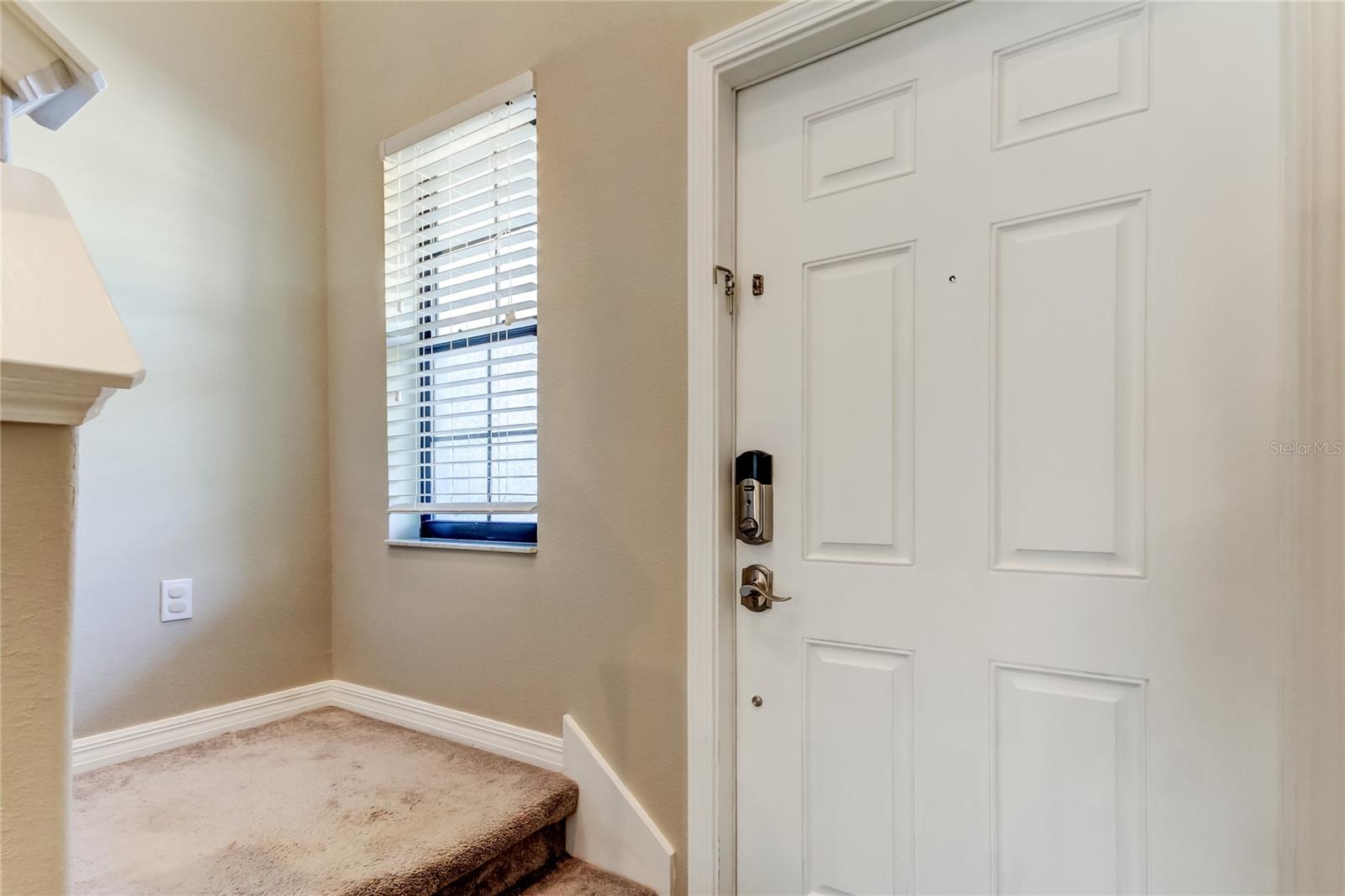 13923 ARBOR PINES DRIVE