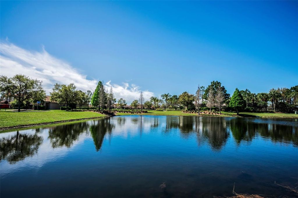 Photo of 11891 Frost Aster Drive, Riverview, FL 33579 (MLS # W7884137)