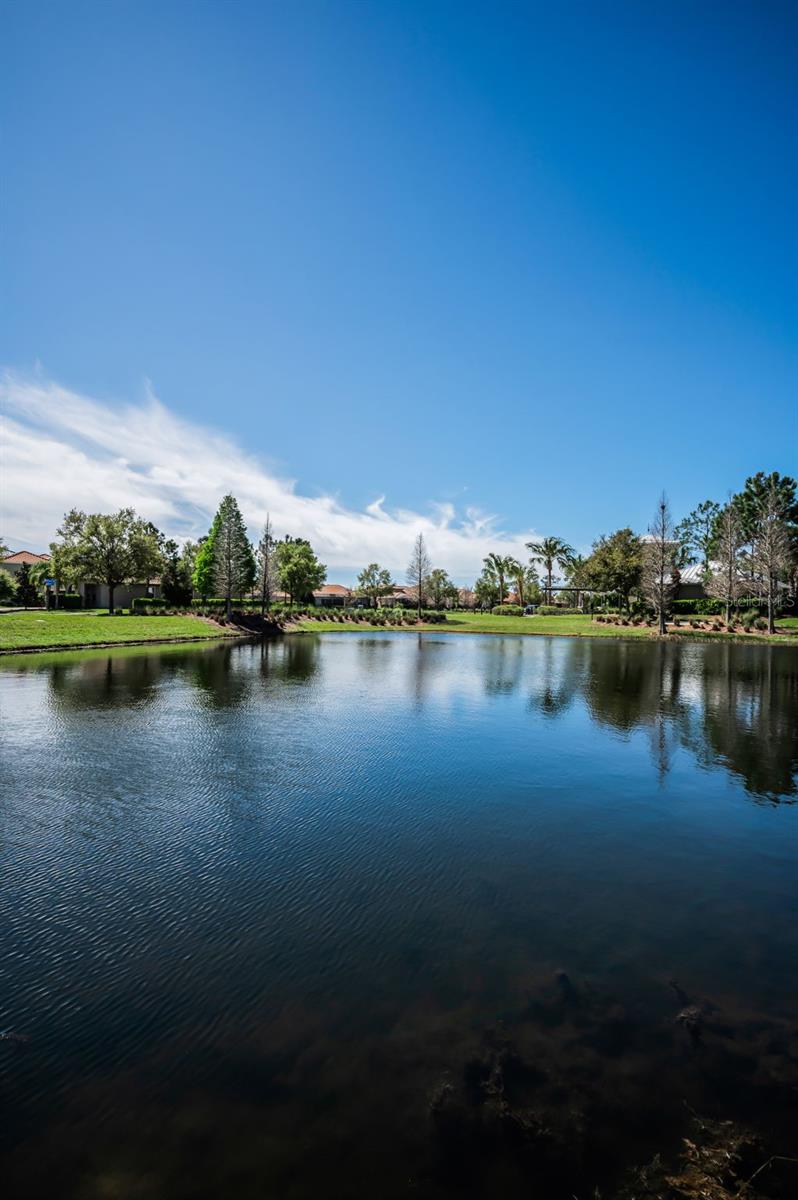 WATERLEAF PH 1A - Residential