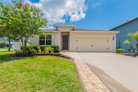 3079 BETHPAGE LOOP MOUNT DORA FL 32757