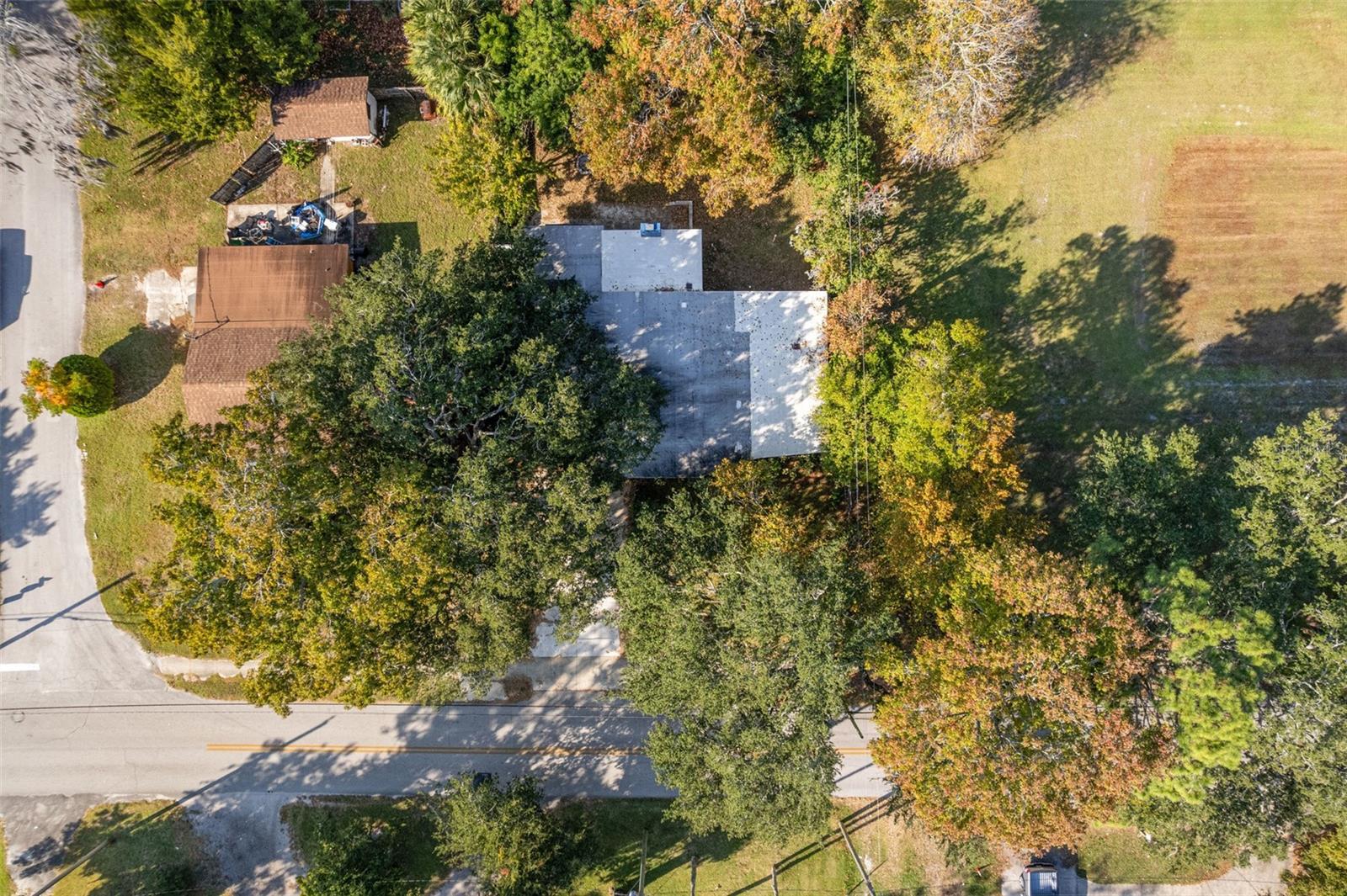 MASON & CARSWELLS HOLLY HILL - Residential