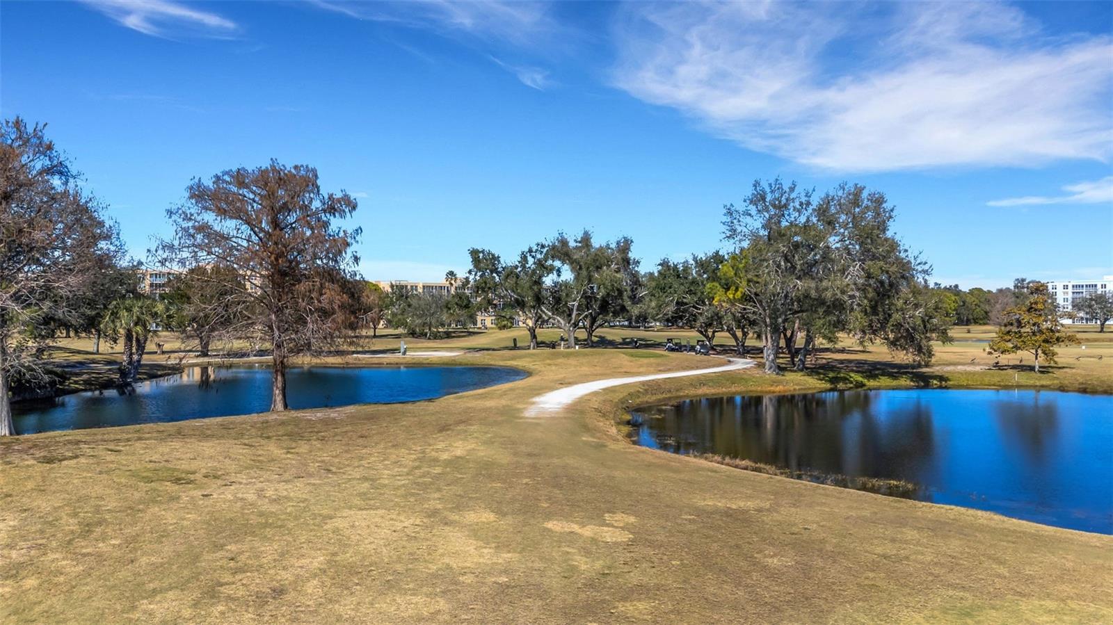 THE FAIRWAYS AT PINEBROOK PH II - Residential