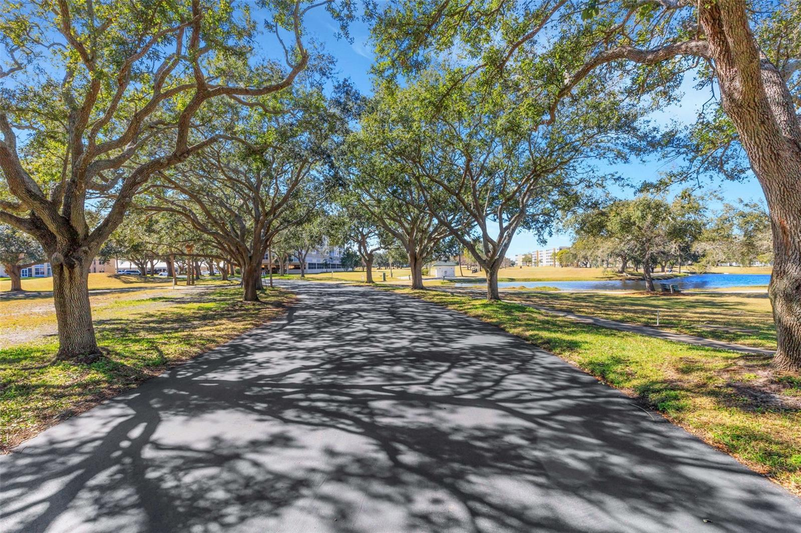 THE FAIRWAYS AT PINEBROOK PH II - Residential