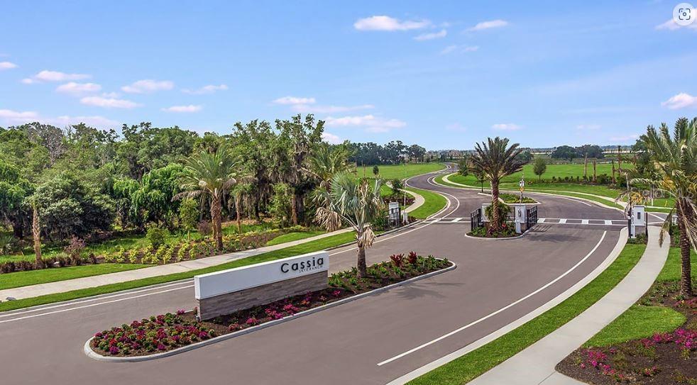 CASSIA AT SKYE RANCH - Residential