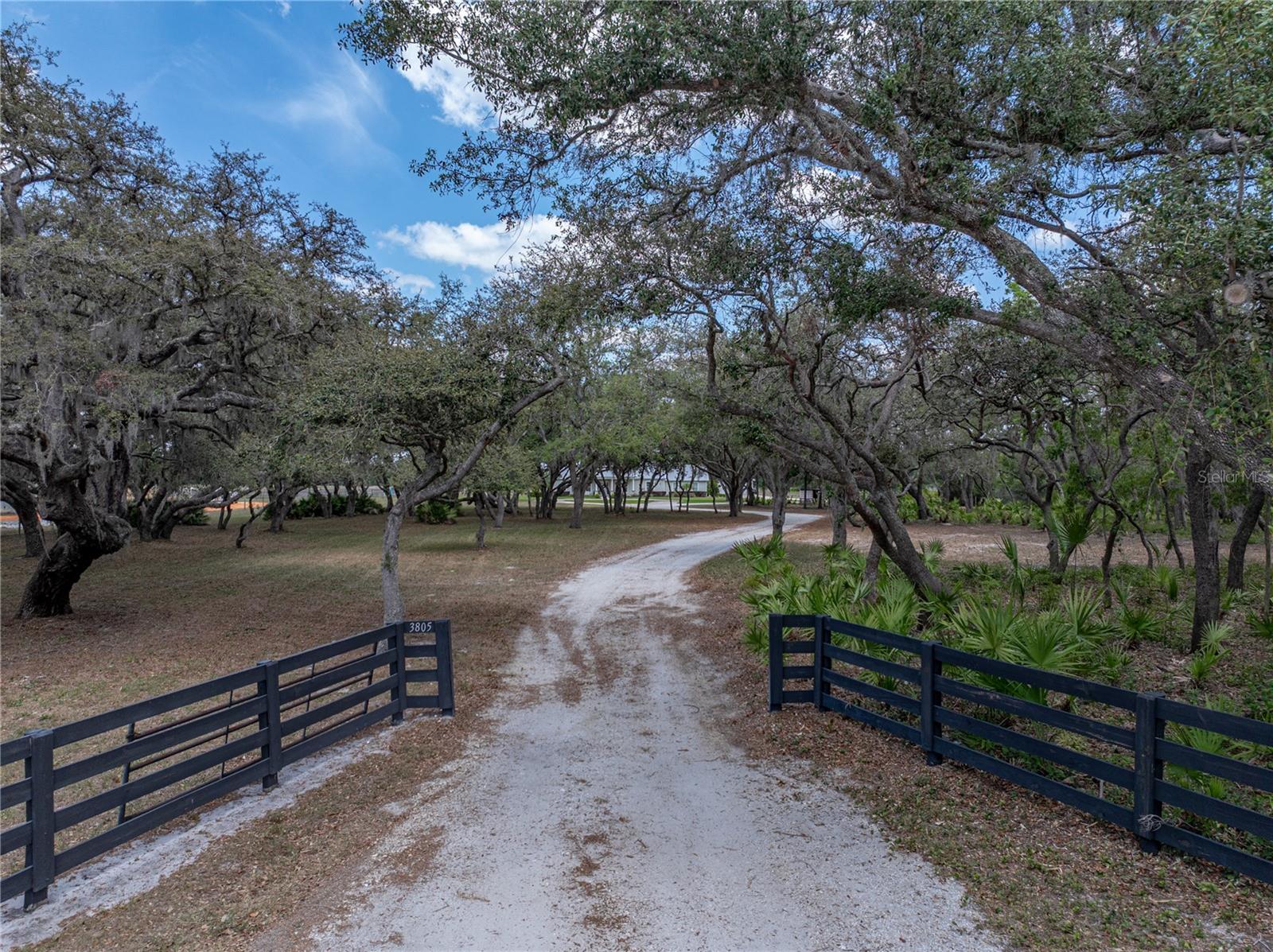 3805 MAMMOTH GROVE ROAD