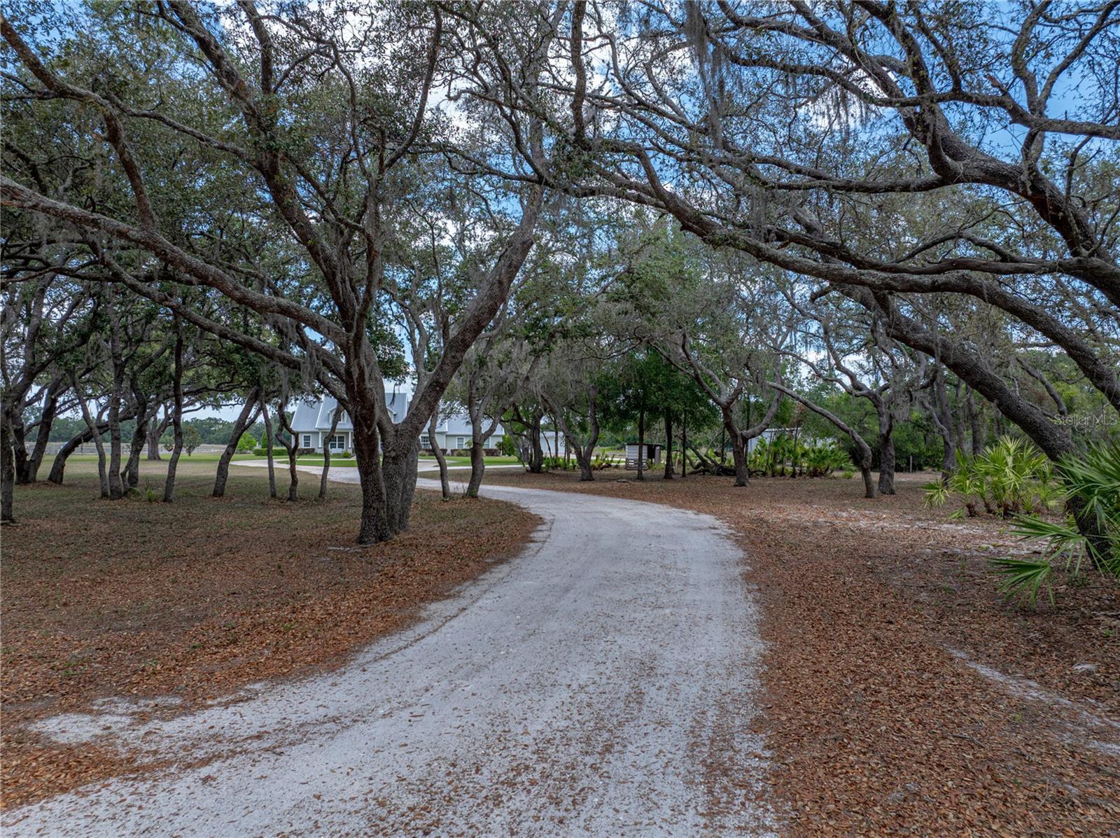 3805 MAMMOTH GROVE ROAD