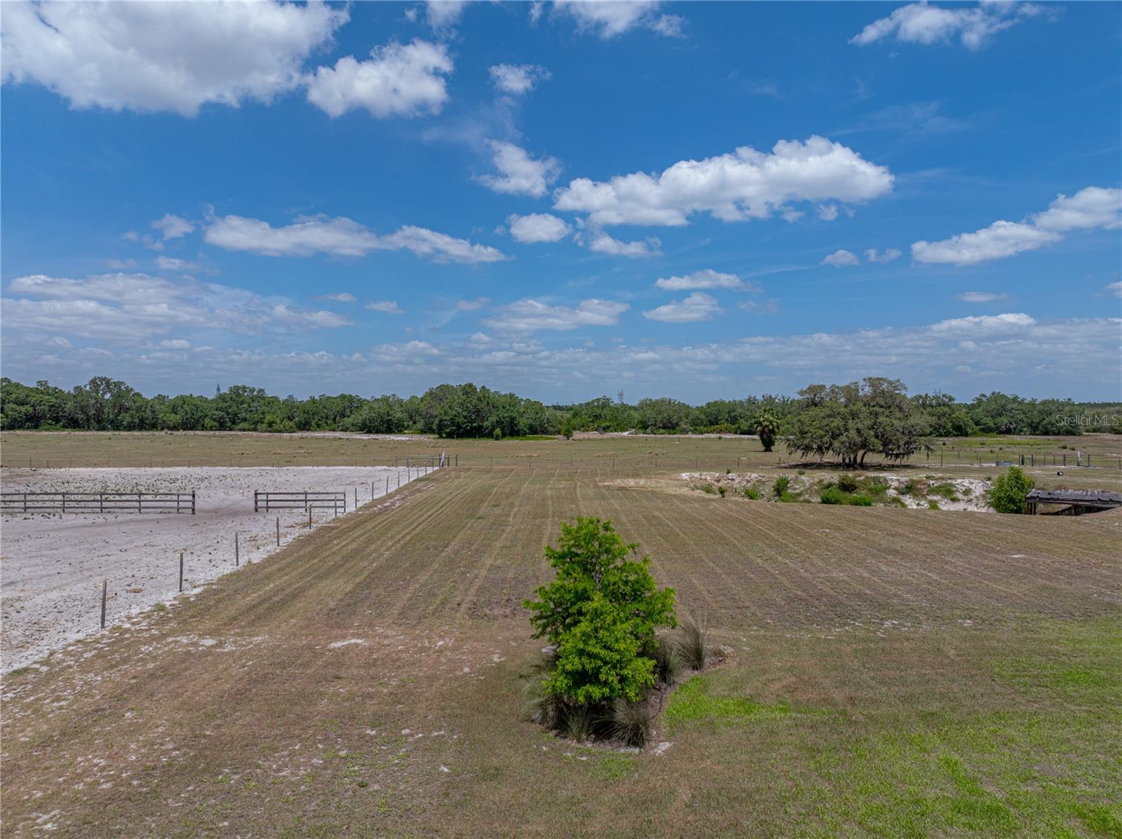 MAMMOTH GROVE - Residential