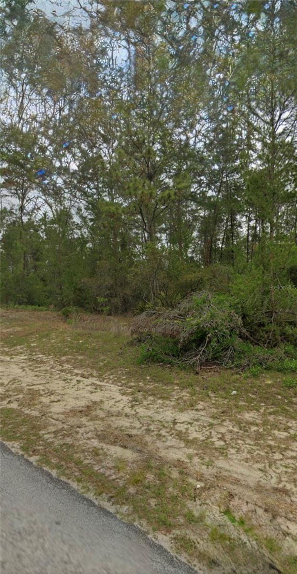 Photo of Tbd SW 44th Circle, Ocala, FL 34473 (MLS # OM718576)