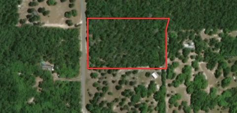 STRICKLAND LAND DRIVE PERRY FL 32348