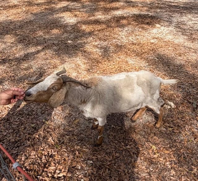 SHILOH RDG - Residential