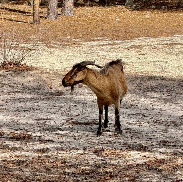 SHILOH RDG - Residential