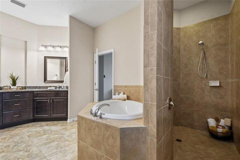 A home in MOUNT DORA