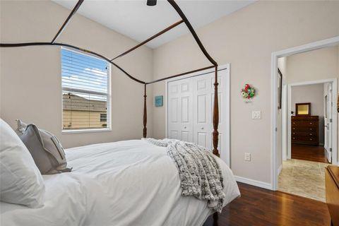 A home in MOUNT DORA