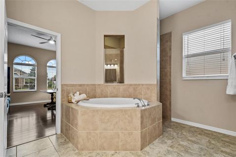 A home in MOUNT DORA
