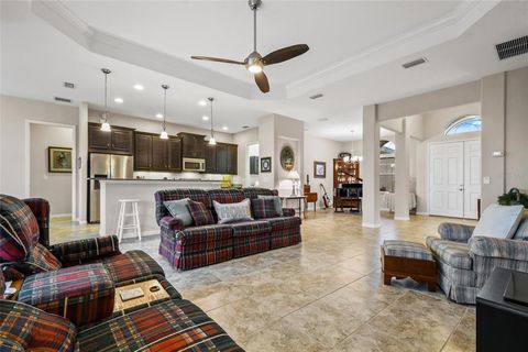 A home in MOUNT DORA