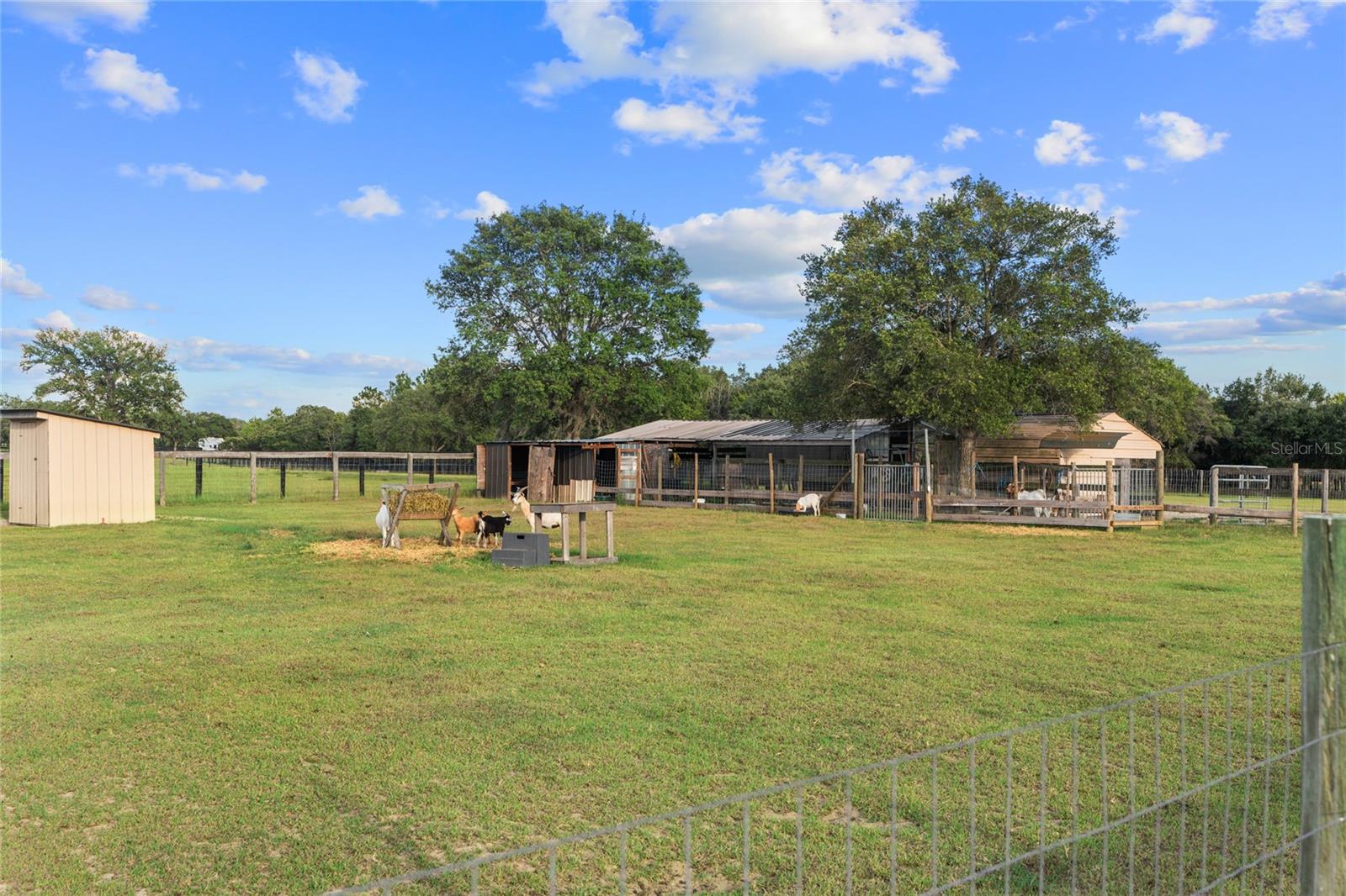MARION CITY - SMITH FARM - Residential