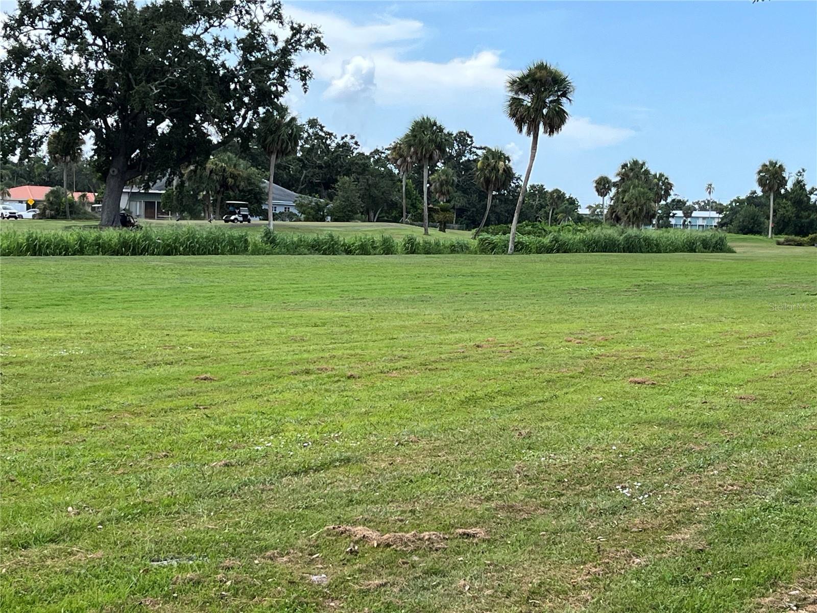 VILLAGE GREEN CLUB ESTATES - Residential