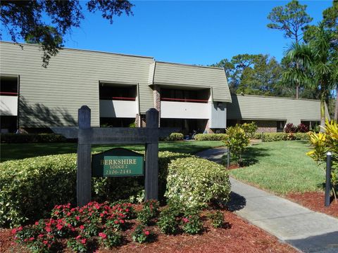 36750 US HIGHWAY 19 N 01104 PALM HARBOR FL 34684