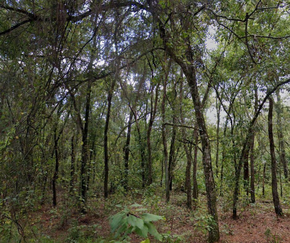 Here’s a 0.18-acre parcel on Posen St. in Moon Lake Estates, New Port Richey. No flood zone. No wetlands. No HOA. Just a flat, wooded lot on a dirt/gravel road with zoning that allows for stick-built (min. 210 sq ft), modular, manufactured, mobile (min. 12x40 ft), or tiny homes—so long as they meet Florida building code.
The lot is just minutes from Moon Lake Park, which includes a public boat launch, playgrounds, and nature trails. You'll also be within reach of Jay B. Starkey Wilderness Park, offering miles of hiking and biking. For commuters or weekend travel, Suncoast Parkway (SR-589) is close by, providing quick access to Tampa (under 1 hour). US-19 and FL-52 are also nearby for regional access.
It’s a straightforward piece of land with solid use potential. Whether you're looking to build now or hold for later, this lot gives you options without the red tape.
The coordinates (28.311192, -82.609719) mark the center point of the property's road frontage, which spans approximately 35 feet to either side. From this central point, the lot extends roughly 110 feet further back.
Buyer is responsible for all closing costs, PERC testing, and installing all utilities (electric, well & septic). Please note that there is a minimum size requirement of 210 sqft for stickbuilt homes and 12x40 ft for mobile homes.