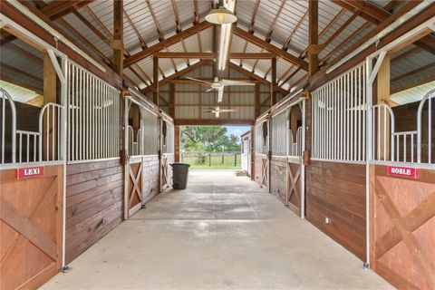 Tiny photo for 13025 NW Gainesville Road, Reddick, FL 32686 (MLS # OM720462)