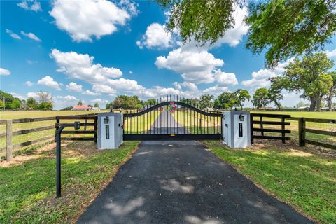 Tiny photo for 13025 NW Gainesville Road, Reddick, FL 32686 (MLS # OM720462)