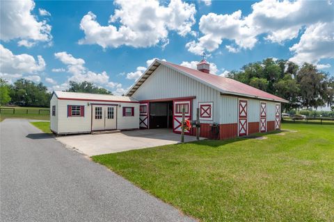 Tiny photo for 13025 NW Gainesville Road, Reddick, FL 32686 (MLS # OM720462)