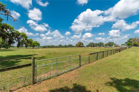Tiny photo for 13025 NW Gainesville Road, Reddick, FL 32686 (MLS # OM720462)