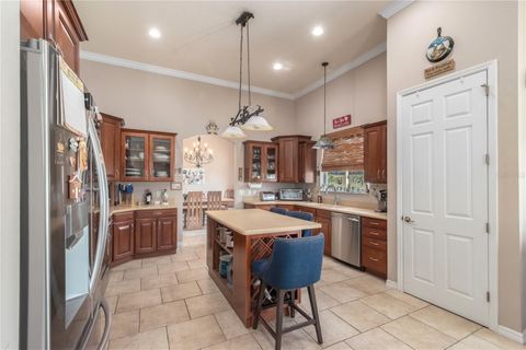 Tiny photo for 13025 NW Gainesville Road, Reddick, FL 32686 (MLS # OM720462)