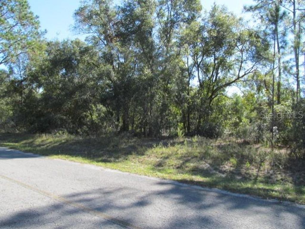 Photo of 00 SE 169th Court, Ocklawaha, FL 32179 (MLS # OM689982)
