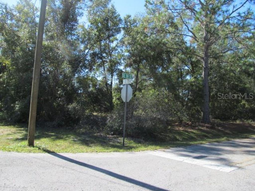 Photo of 00 SE 169th Court, Ocklawaha, FL 32179 (MLS # OM689982)