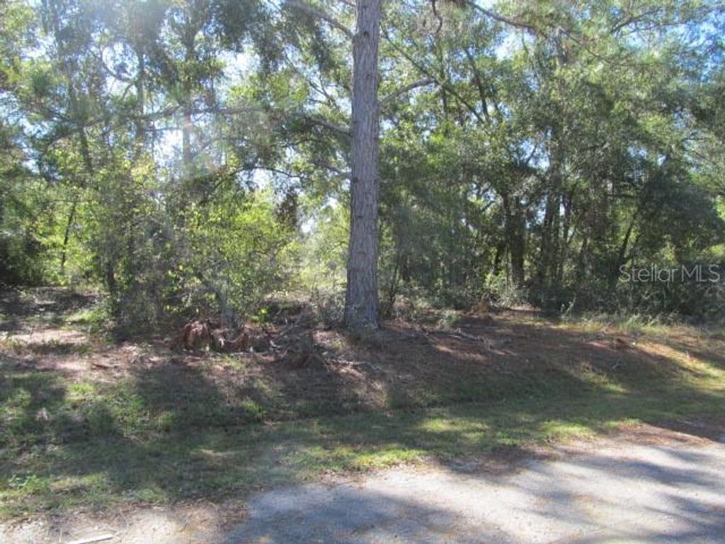 Photo of 00 SE 169th Court, Ocklawaha, FL 32179 (MLS # OM689982)