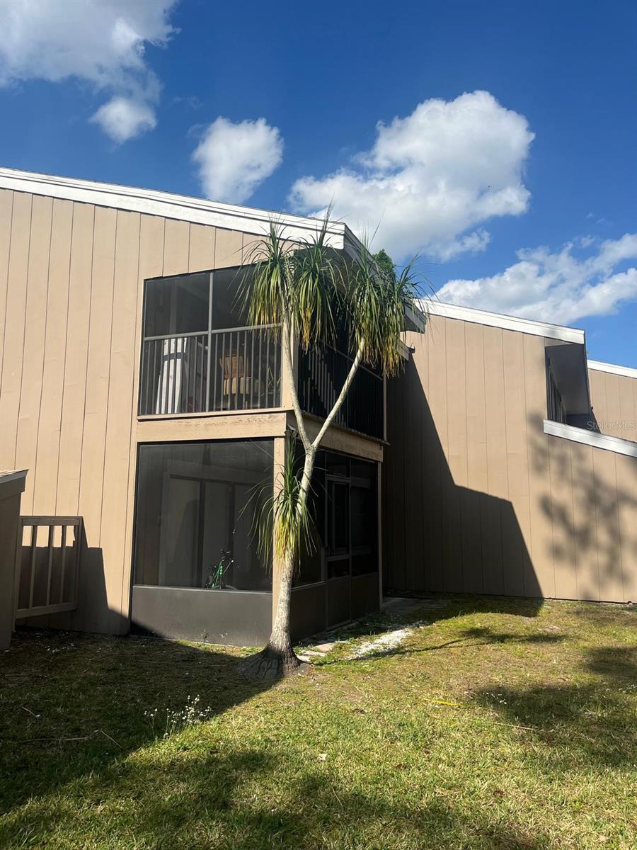 6040 PEREGRINE AVENUE A01