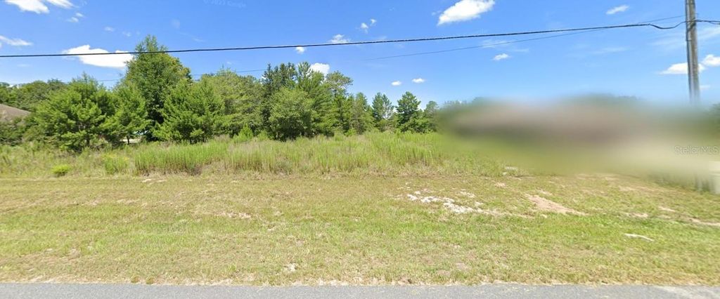 Photo of SW 18th Ave Road, Ocala, FL 34473 (MLS # A4676088)
