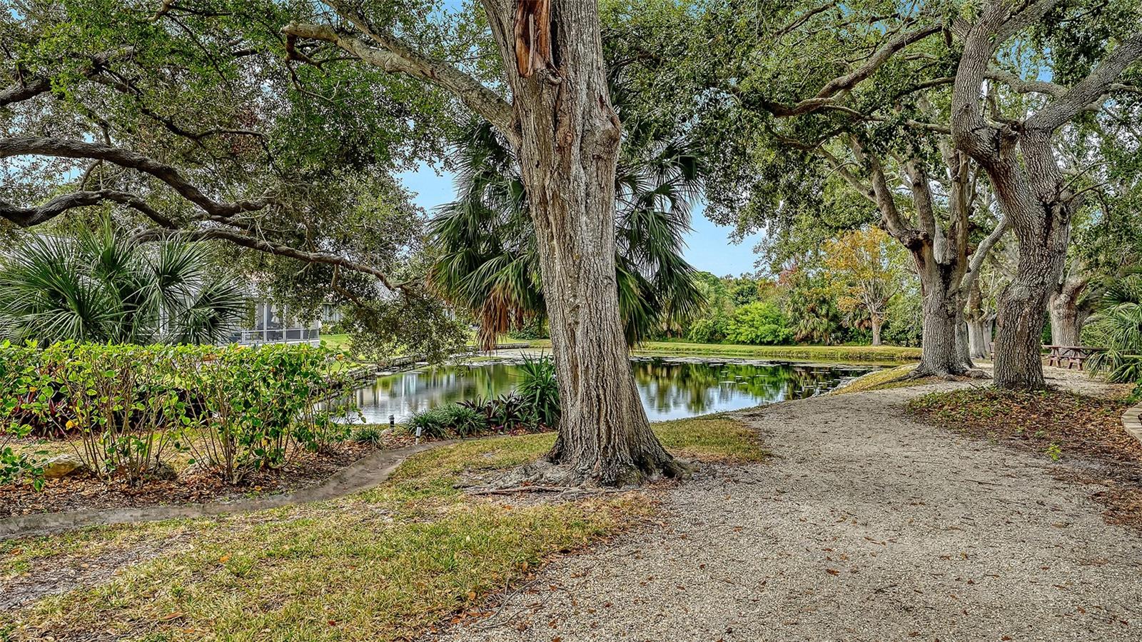 INDIAN SPGS - Residential