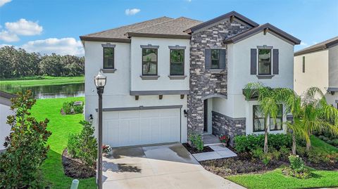 A home in LITHIA