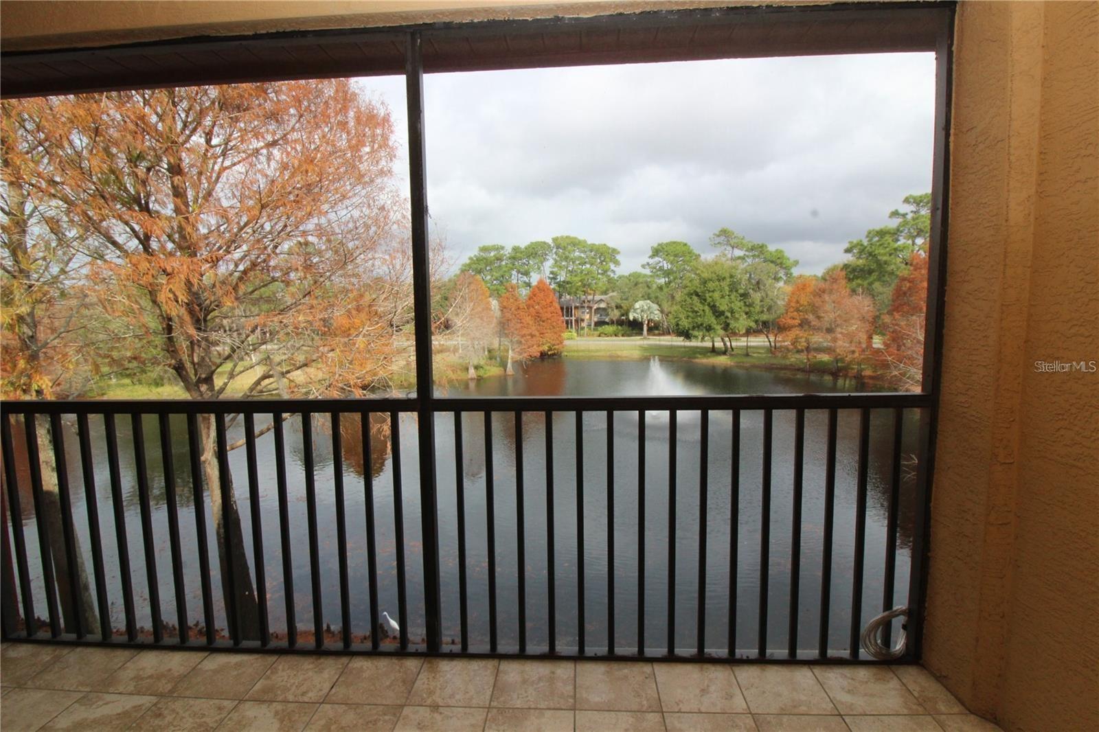 TUSCANY AT INNISBROOK CONDO - Residential Lease