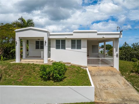 Carr 416 M 5.2, BO. LAGUNA AGUADA  00602