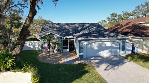 A home in VALRICO